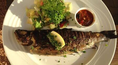 Frische Forelle vom Holzkohlegrill