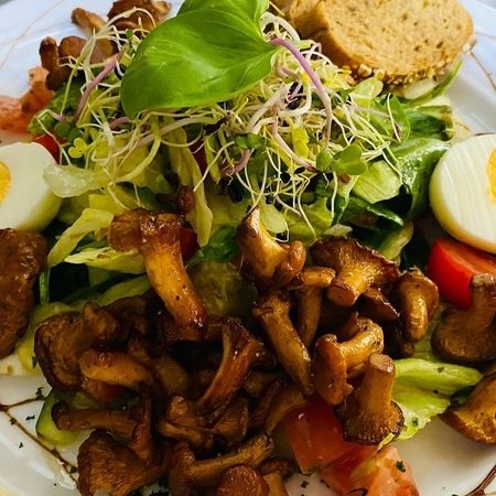 Frische Pfifferlinge auf Salat