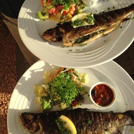 Frische Forelle vom Holzkohlegrill