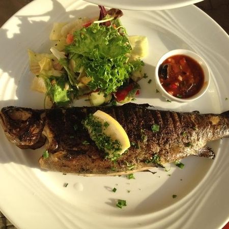 Frische Forelle vom Holzkohlegrill