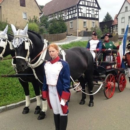 Kanone mit Gespann und Napoleon