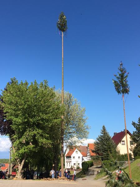 Maibaum setzen